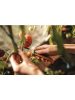 Fiskars X-series™ összecsukható betakarító kés K80 - 25 év garanciával (1062819)