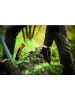 Fiskars WoodXpert™ ejtőemelő M (1015438)