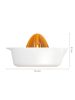 Fiskars Functional Form Gyümölcsfacsaró (1016125)
