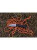Gerber GATOR zsebkés (1027862) - 25 év garanciával