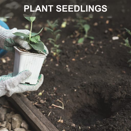 Scheppach EB 2000 benzinmotoros földfúró, 3 fúrószárral