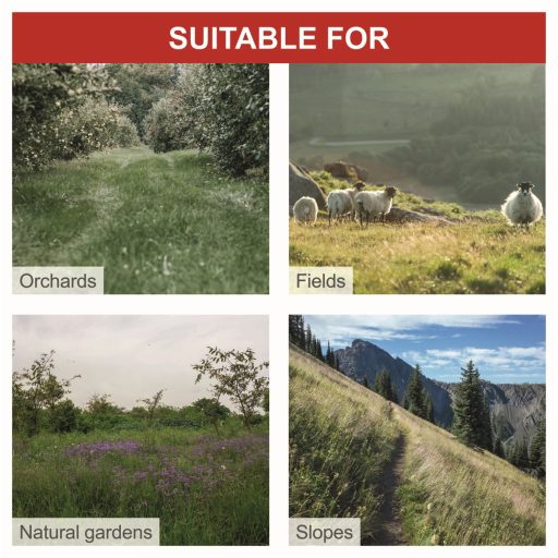 Scheppach BMS 196-88 benzinmotoros önjárós alternáló kasza