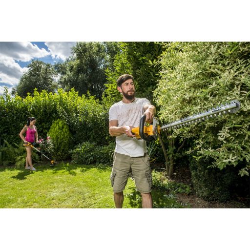 Riwall PRO RAHT 5220 SET - akkus sövényvágó 20V (2Ah akkuval és töltővel) 